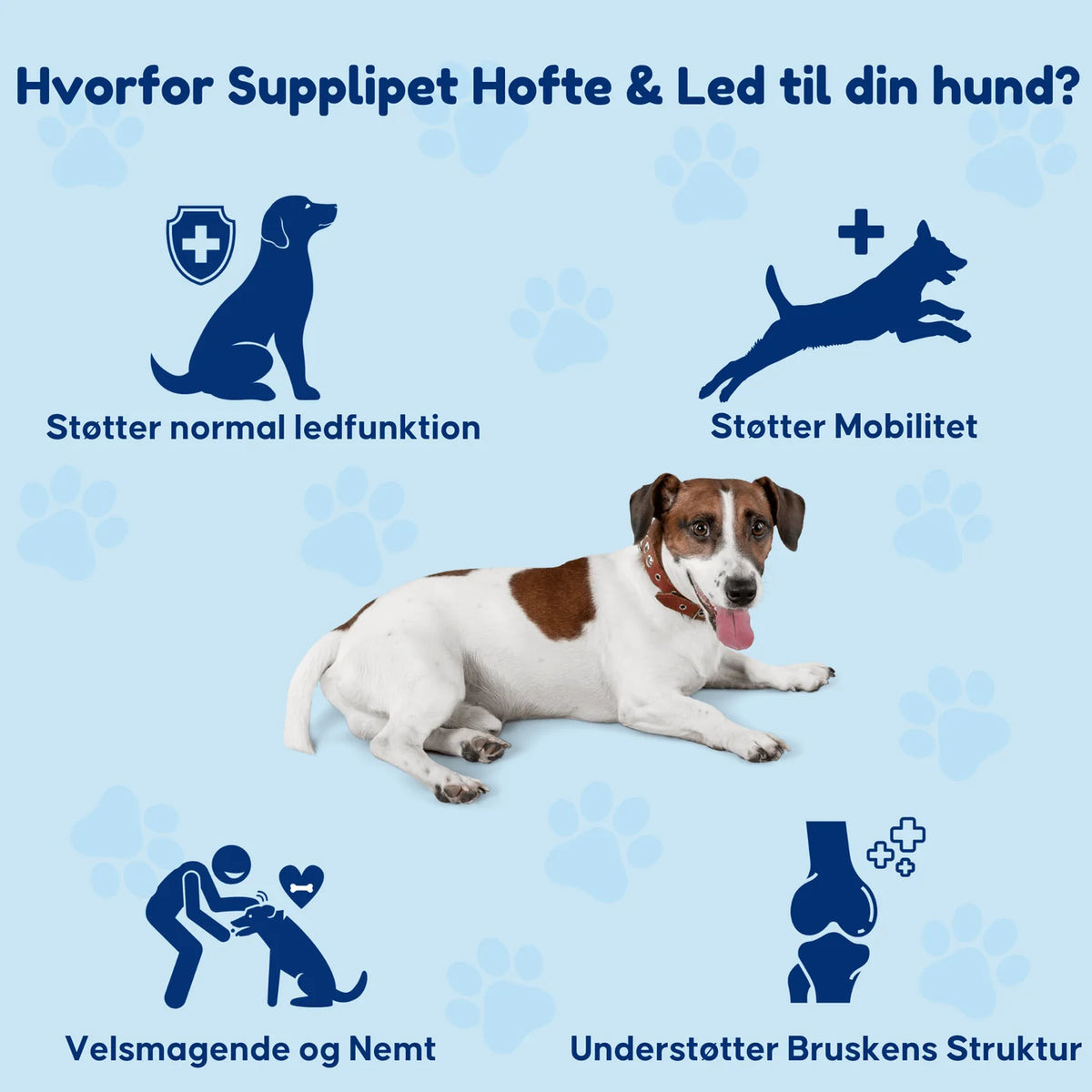 SuppliPet Hofte & Led – daglige godbidder til mobilitet, hofter & led
