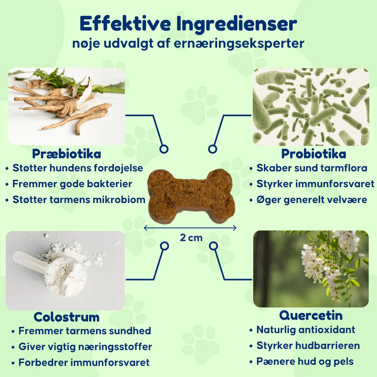 SuppliPet Kløe & Immun – daglige godbidder til hud, pels & immunforsvar