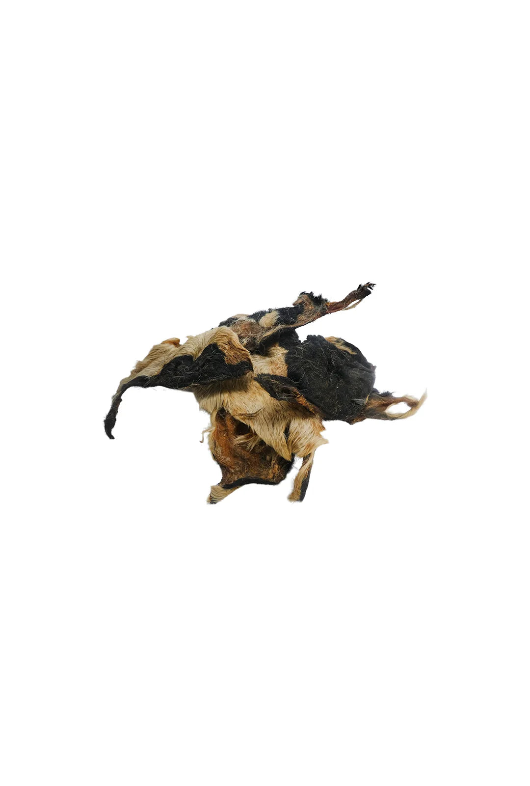 Whesco Nature Lammenæse med pels 200 g – naturlig hundesnack af lam