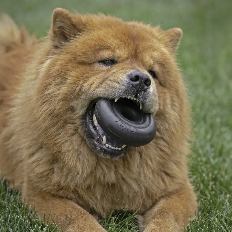 KONG Extreme Donut L/XL – ekstra robust tyggelegetøj til hunde med stærke kæber