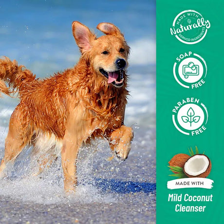 TropiClean Papaya & Coconut Shampoo og Kiwi & Cocoa Butter Conditioner 355 ml