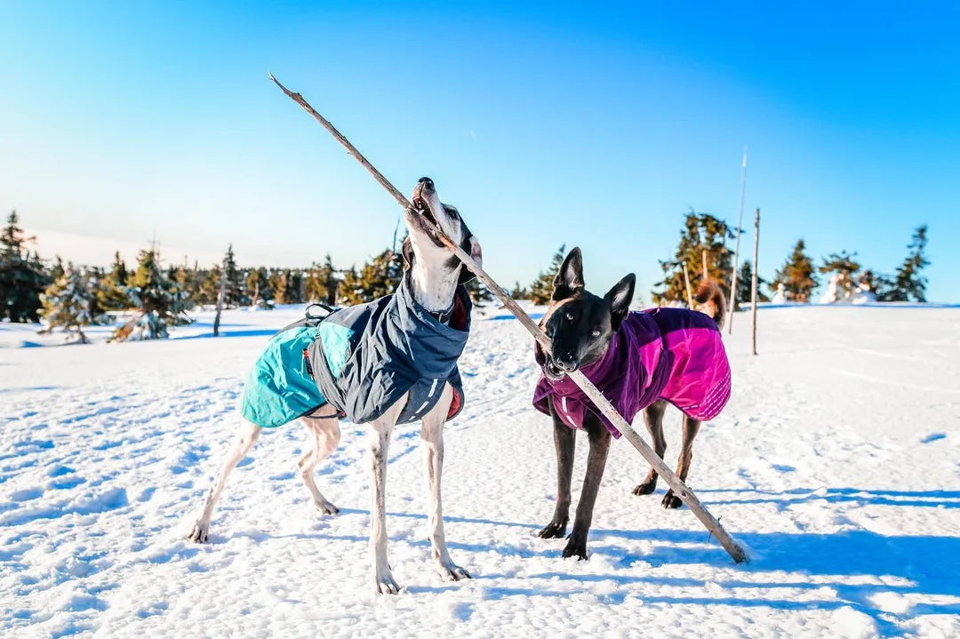 Non-stop Dogwear Glacier Jacket 2.0 – Ultimativ beskyttelse og komfort til kolde vejrforhold