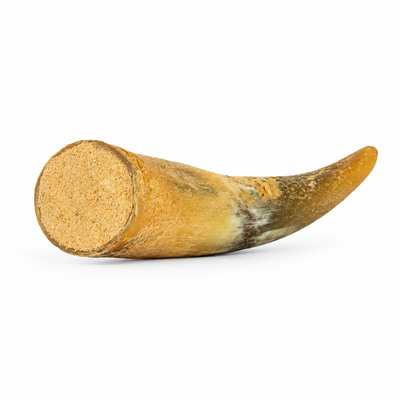 Snack'it Fyldt Oksehorn – naturligt oksehorn med pandebrask