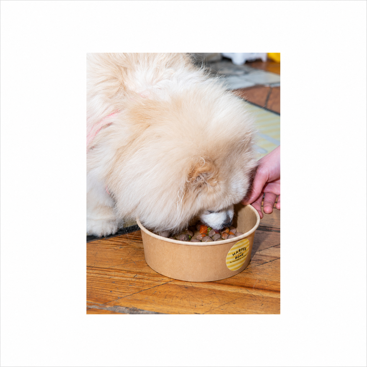 Harper & Bone Meatballs – Smagfulde kornfrie måltidskødboller 300 g
