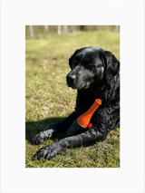 Dog Comets Bobber Lighthouse – flydende apportlegetøj til vandglade hunde