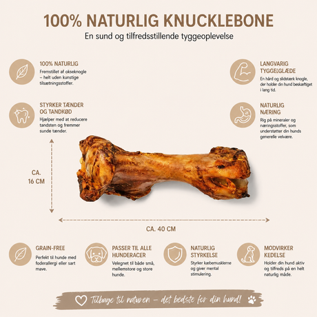 Antos Kæmpe marvben med oksekød – naturlig tyggeglæde til store hunde
