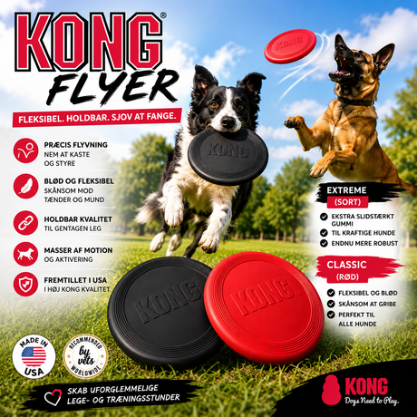 KONG Flyer – Classic eller Extreme | Frisbee til aktiv apport