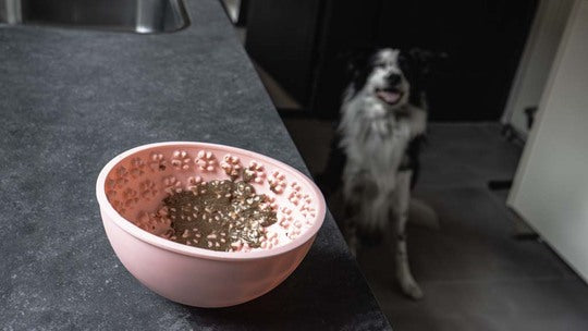Eat Slow Live Longer Wobble Bowl Grå – slikkeskål til hund og kat