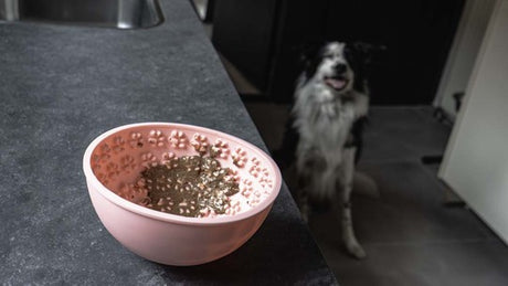 Eat Slow Live Longer Wobble Bowl Grå – slikkeskål til hund og kat
