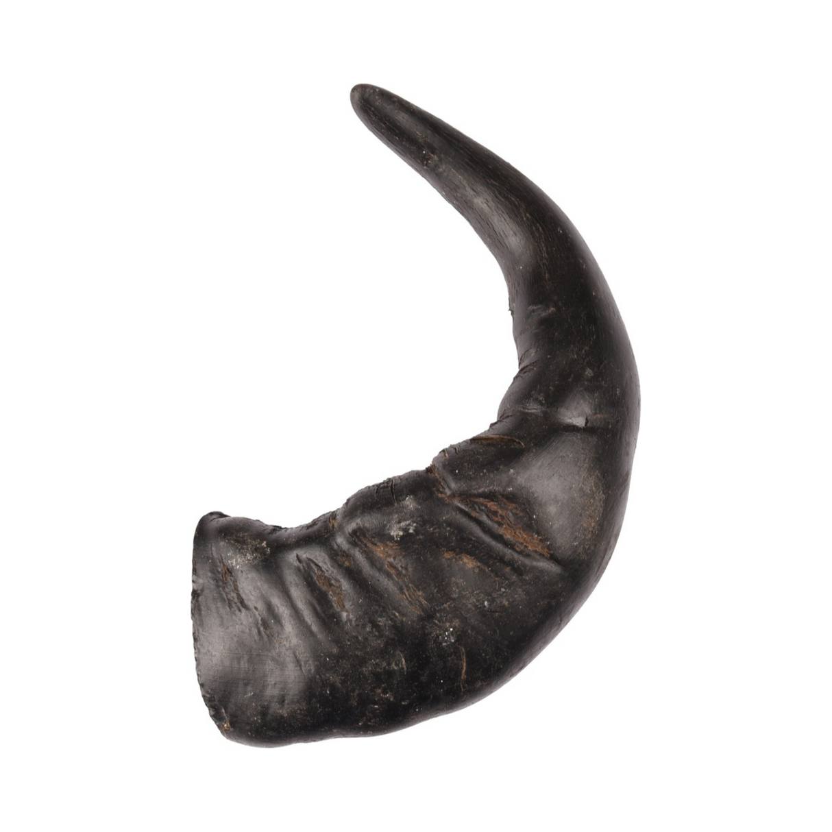 Nature Snack Horn – 100 % naturlige oksehorn i tre størrelser (bøffel)
