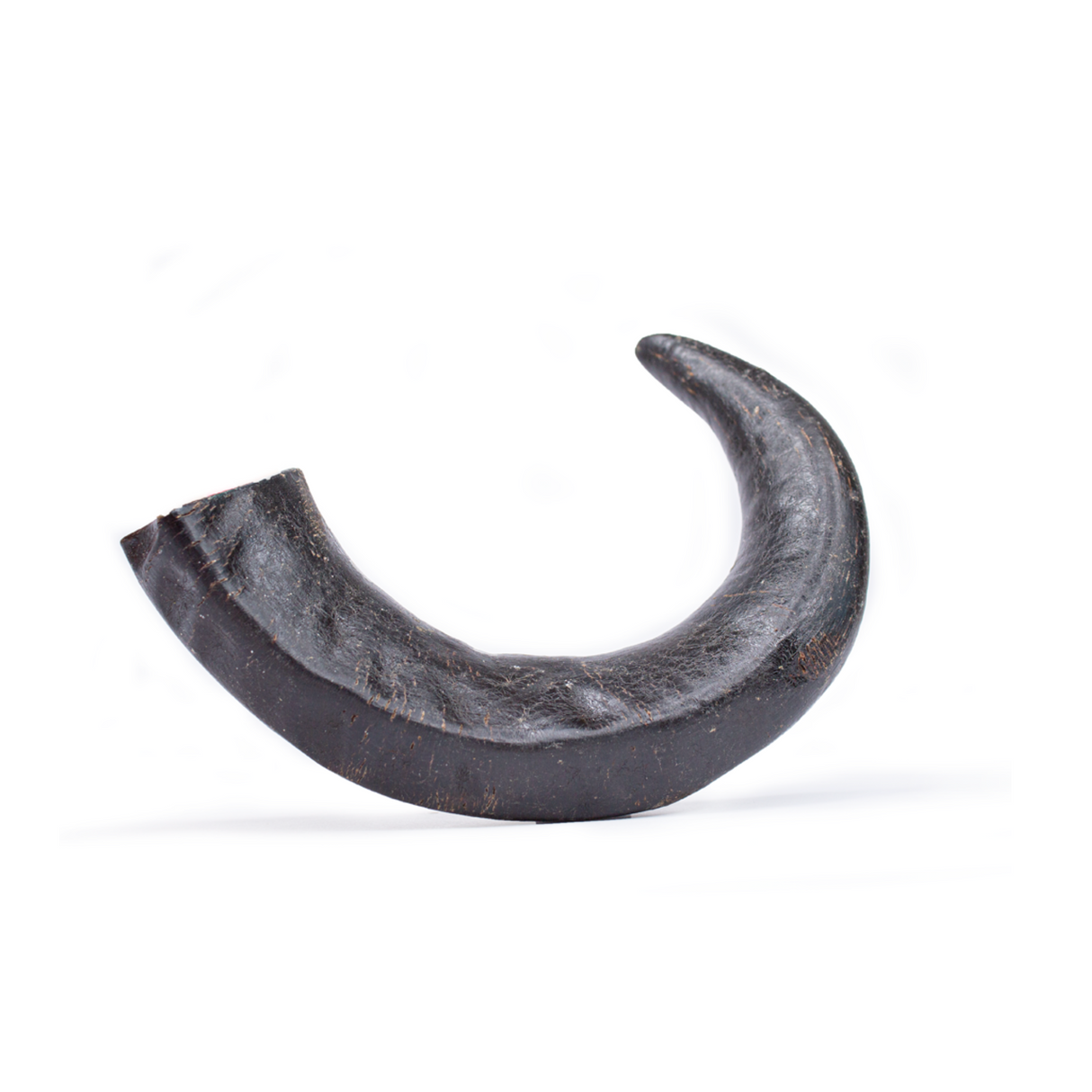 Nature Snack Horn – 100 % naturlige oksehorn i tre størrelser (bøffel)