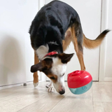 KONG Reward Shell – Mental aktivering og foderleg til hunde (Str. S)