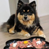 LickiMat Slow Feeder Plate Sort 35 x 26 x 3 cm