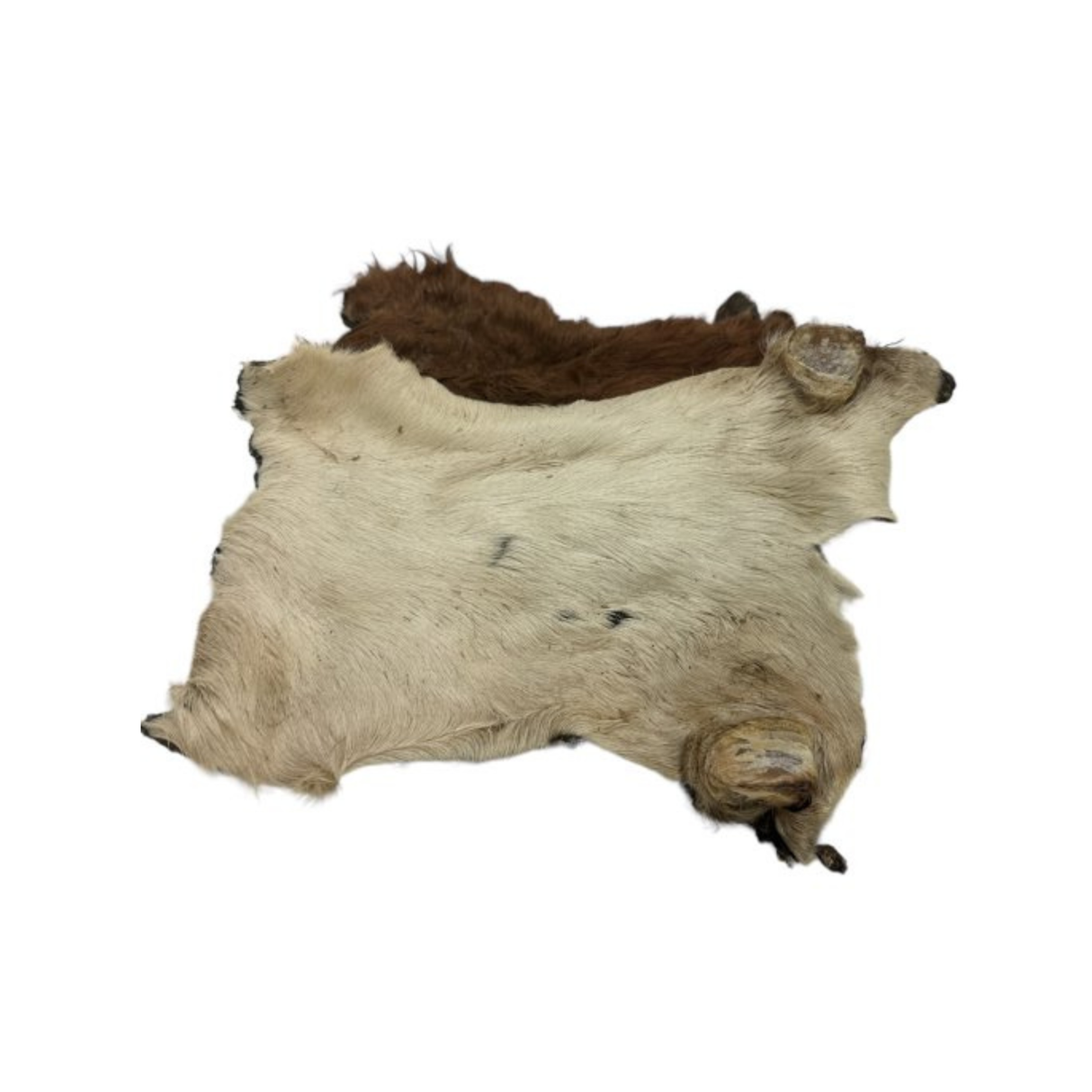 Whesco Oksehudplader med Pels – 100% Naturlig Tyggeaktivering