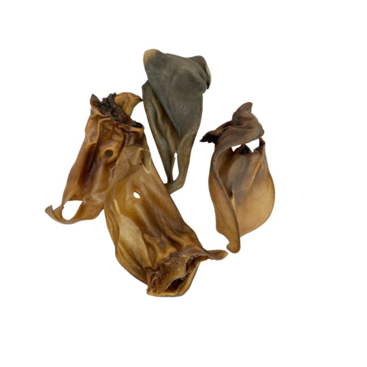 Whesco Kamelører – 100% naturlig tyggeglæde i 2 størrelser