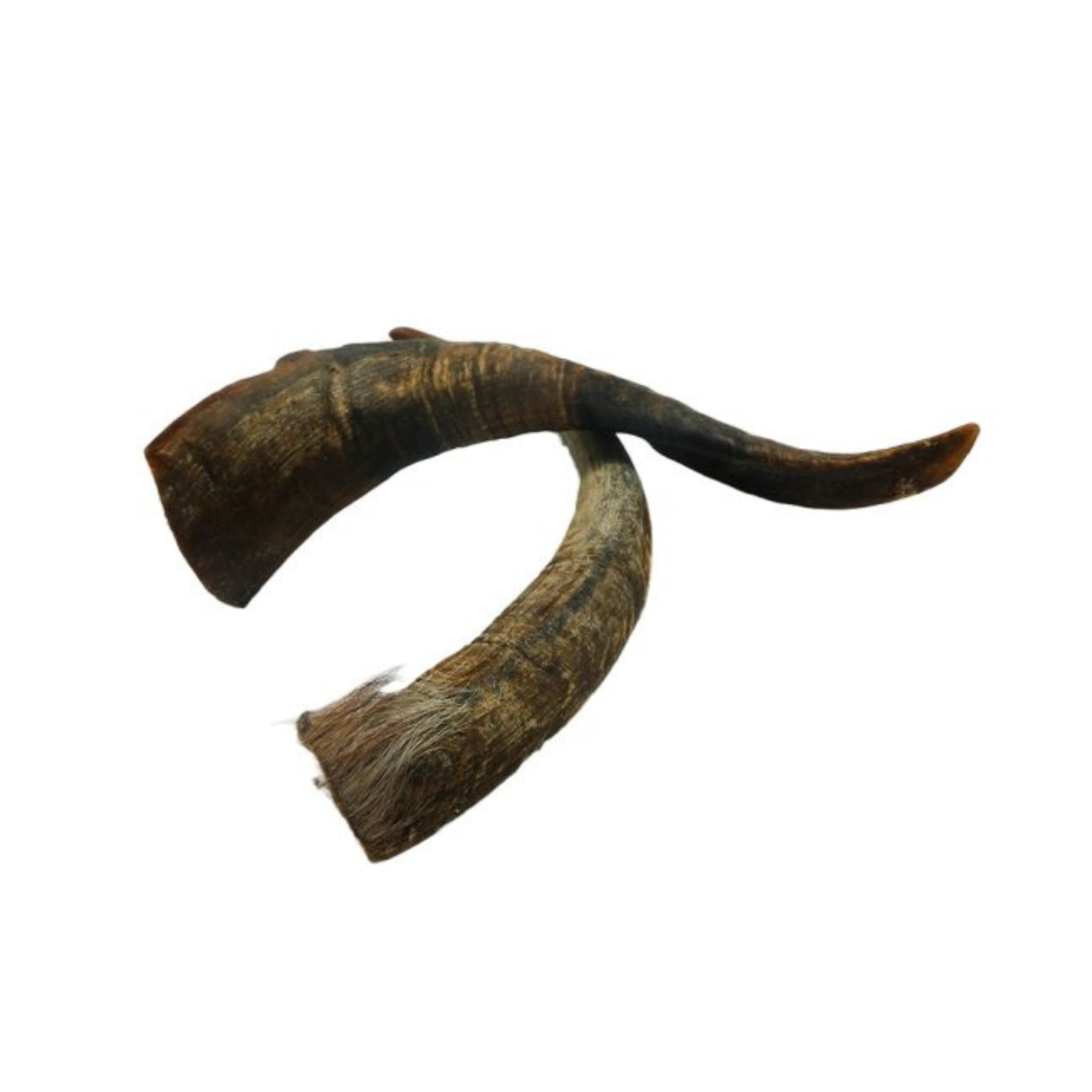 Whesco Gedehorn – 5 stk. Pose | 100 % Naturlig & Lang Tyggetid (3 størrelser)