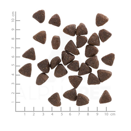 Wolfsblut Wild Boar 
– Kornfrit hundefoder med vildsvin (2 kg)