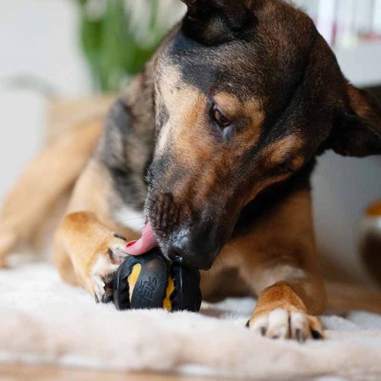 Zeus ChewChasers Treat Ball Ø7,5 cm – Aktiveringsbold med godbidder