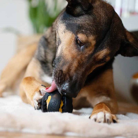 Zeus ChewChasers Treat Ball Ø7,5 cm – Aktiveringsbold med godbidder