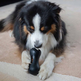 Zeus ChewChasers Treat Peanut – Aktiveringslegetøj med Godbidder (Vælg Størrelse)