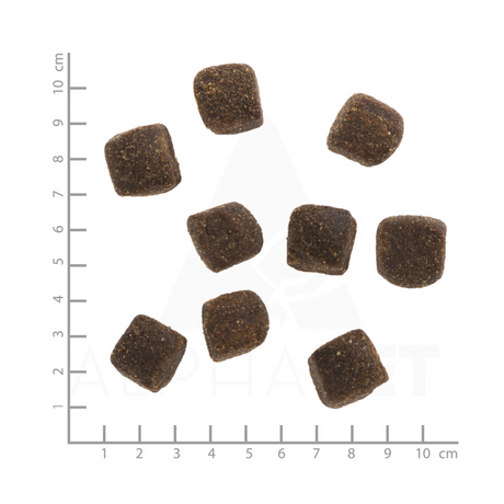WOLFSBLUT Squashies Green Valley 300g – Bløde godbidder med lam & laks