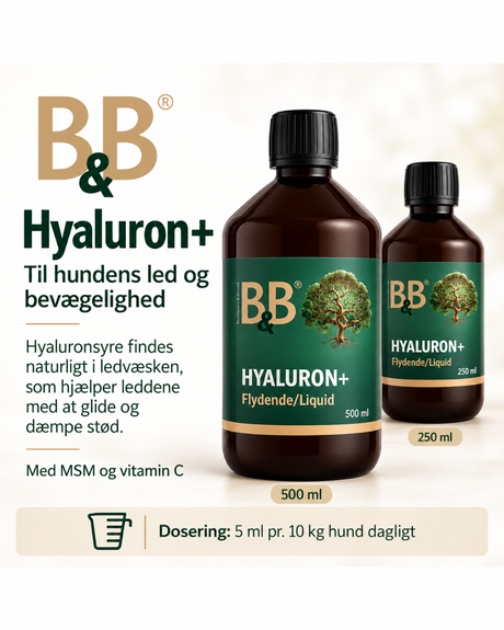 B&B Hyaluron+ Flydende – tilskud til hundens led og bevægelighed | 250 og 500 ml