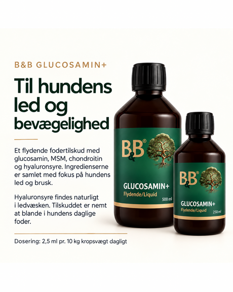 B&B Glucosamin+ Flydende – ledtilskud til hunde | 250 ml og 500 ml