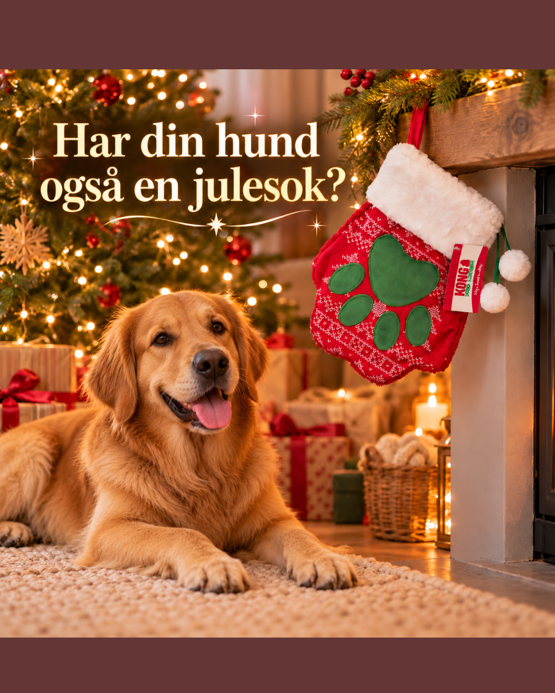 KONG Holiday Stockings Paw L – julesok til hunde og katte