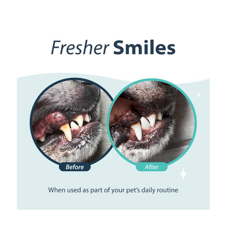 Dental Fresh Dog – Mundhygiejne i drikkevandet (473 ml)