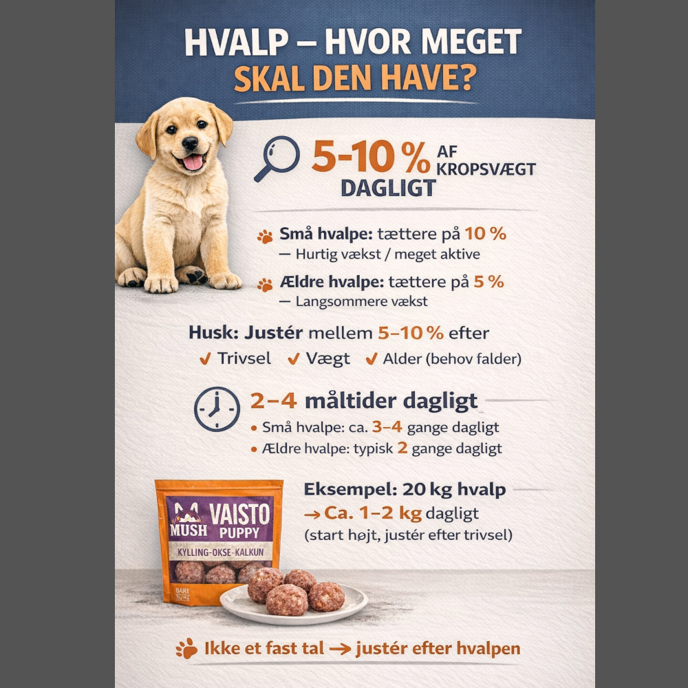 MUSH Vaisto® Puppy – råfoder til hvalpe med fokus på sund vækst