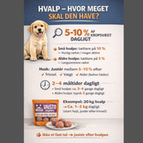 MUSH Vaisto® Puppy – råfoder til hvalpe med fokus på sund vækst