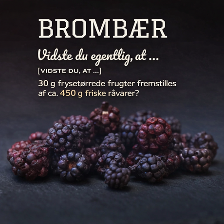 Pamico frysetørrede vilde brombær – naturlig vitaminbombe til hund og kat