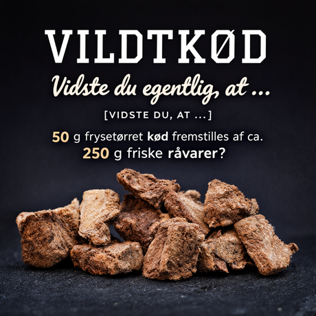 Pamico frysetørret vildtkød – ren protein snack med hjort og rådyr
