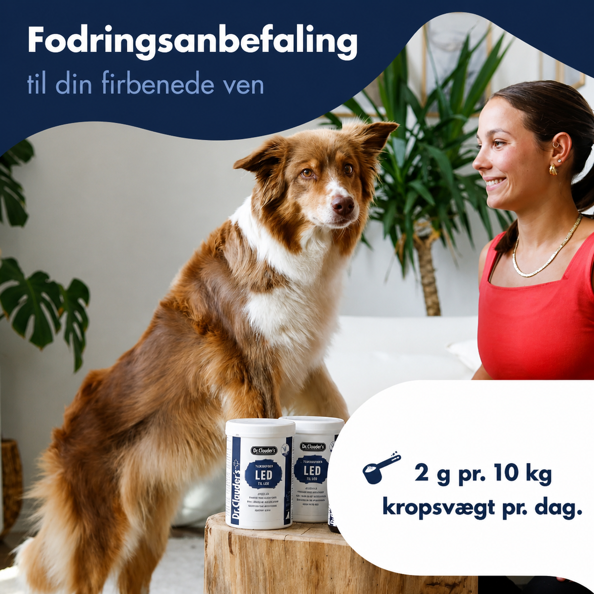Dr. Clauder’s Joint Support Powder 500 g – ledtilskud til hund