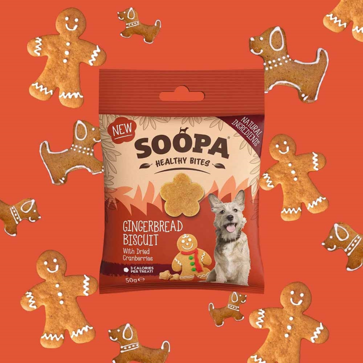 Soopa Healthy Bites – Gingerbread Biscuit (Juleedition)