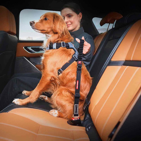 EzyDog Zero Shock Bælteadapter – justerbar sikkerhedssele til bilen med støddæmpning