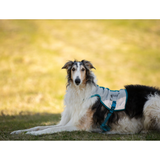 Non-stop Dogwear Cooling Pull-On Vest – effektiv kølevest til varme sommerdage