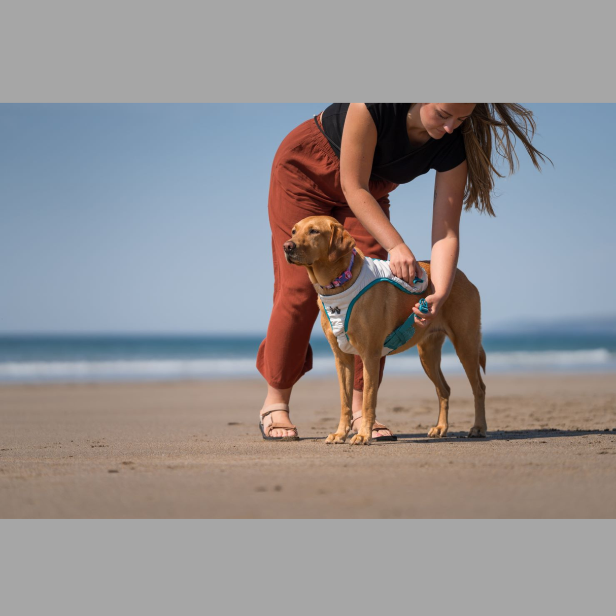 Non-stop Dogwear Cooling Pull-On Vest – effektiv kølevest til varme sommerdage