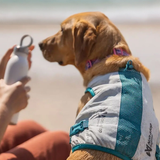 Non-stop Dogwear Cooling Pull-On Vest – effektiv kølevest til varme sommerdage