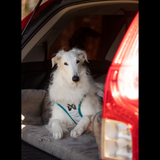 Non-stop Dogwear Cooling Pull-On Vest – effektiv kølevest til varme sommerdage