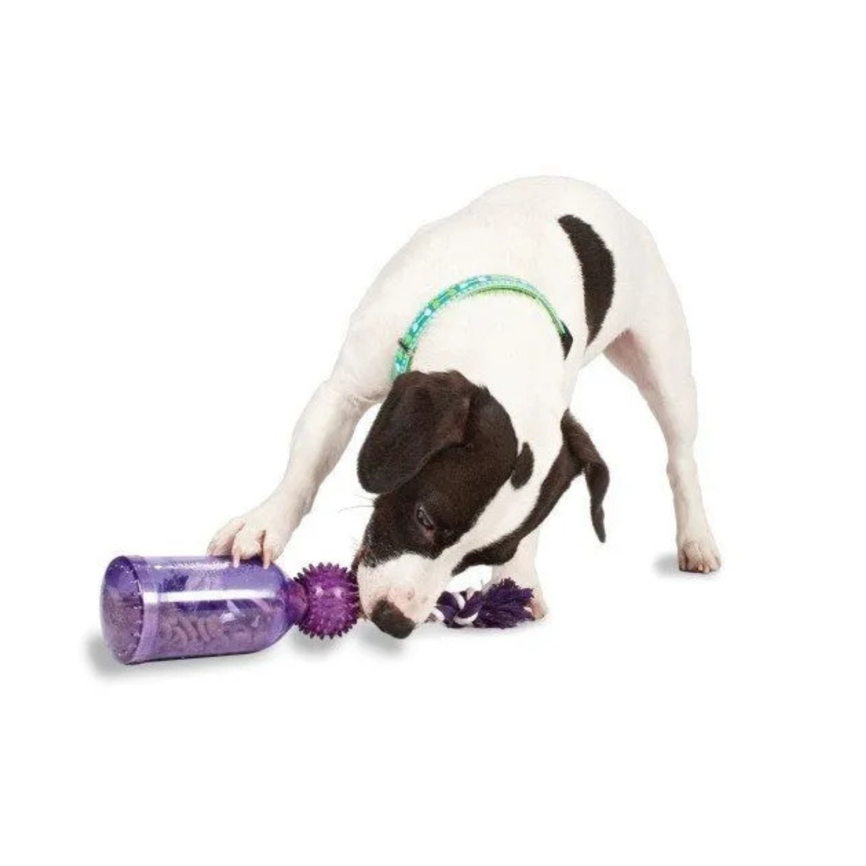 Busy Buddy Tug-A-Jug fra PetSafe – Aktiveringslegetøj i 3 størrelser (XS, S & M/L)