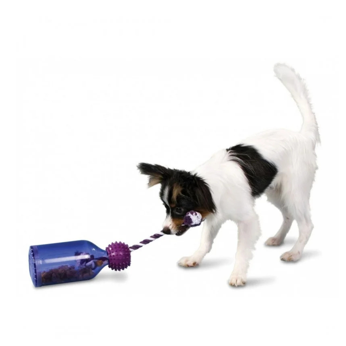 Busy Buddy Tug-A-Jug fra PetSafe – Aktiveringslegetøj i 3 størrelser (XS, S & M/L)