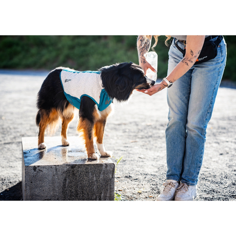 Non-stop Dogwear Cooling Pull-On Vest – effektiv kølevest til varme sommerdage