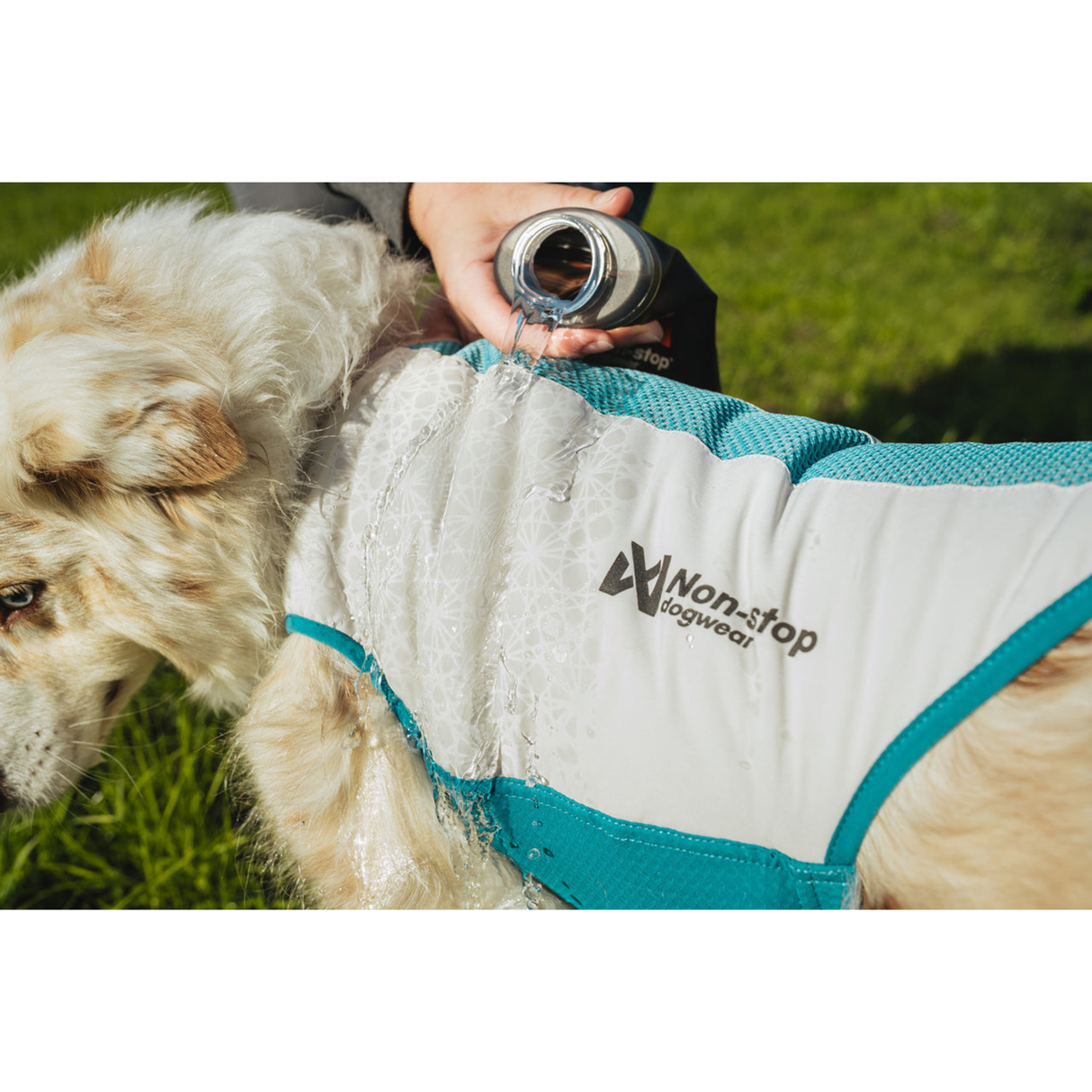 Non-stop Dogwear Cooling Pull-On Vest – effektiv kølevest til varme sommerdage