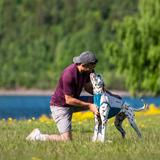 Non-stop Dogwear Cooling Pull-On Vest – effektiv kølevest til varme sommerdage