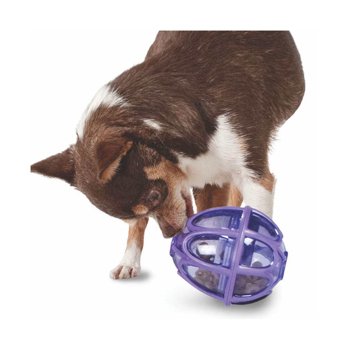 Busy Buddy Kibble Nibble Feeder Ball – aktivitetsbold til godbidder (XS/S)