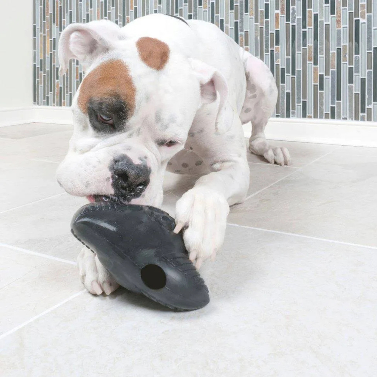 Busy Buddy Squeak N’ Treat Ninja Star – aktivitetslegetøj med squeak og godbidfunktion (S)