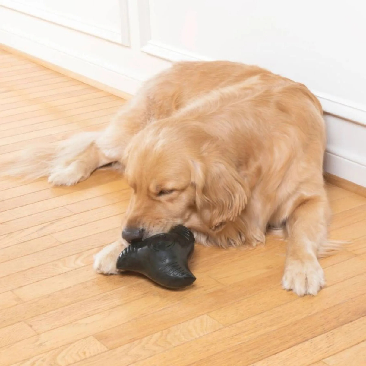 Busy Buddy Squeak N’ Treat Ninja Star – aktivitetslegetøj med squeak og godbidfunktion (S)