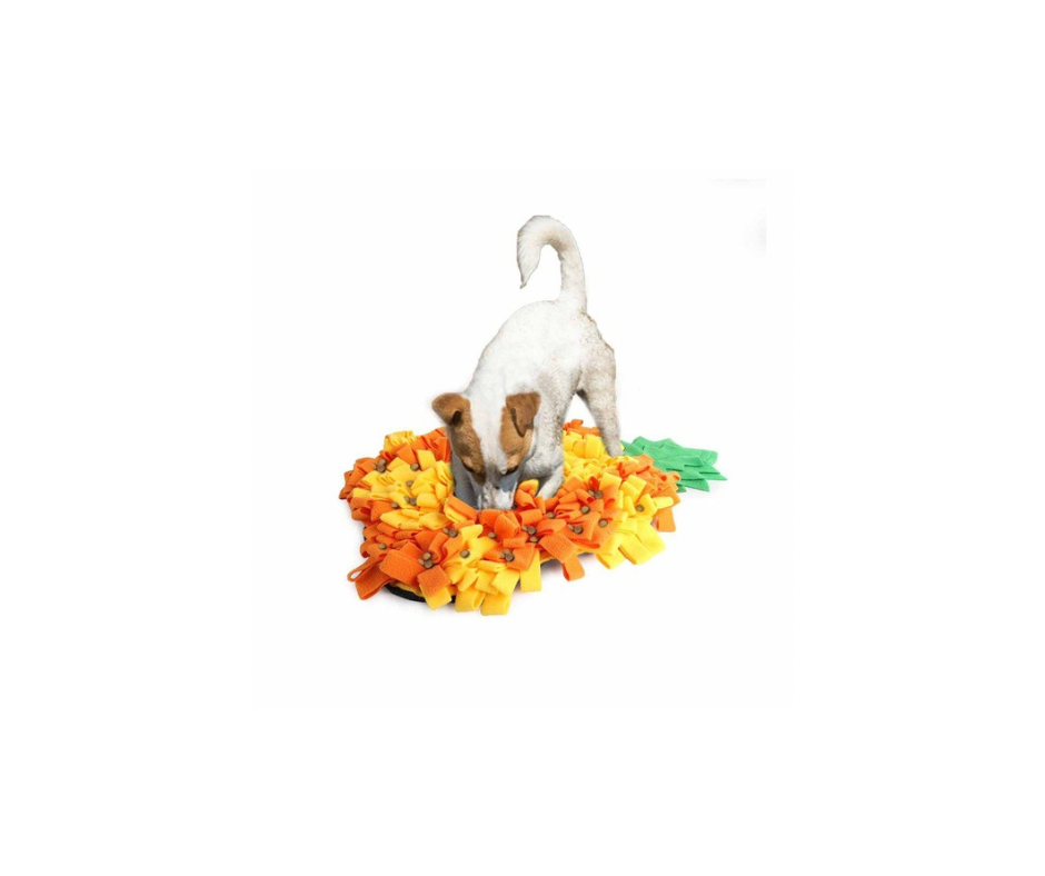 AFP - Snusemåtte Ananas – Sjov og stimulerende aktivering til hunde 63x42x4 cm