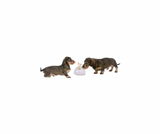 Pop-up Treat Toy – Interaktiv Godbidsleg for Din Hund